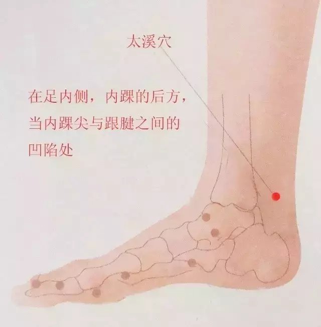 冬季养肾正当时, 这两个穴位让你肾气十足!