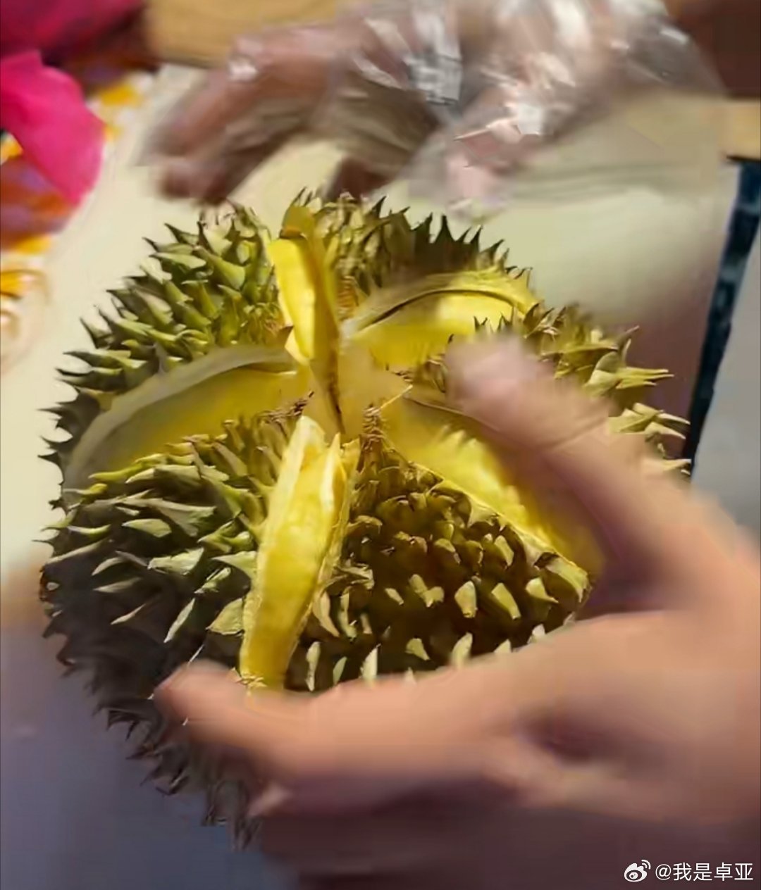 世界上最完美的榴莲出现了大五房