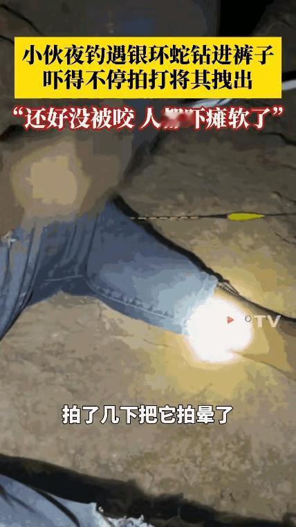 “这就是命啊！”9月14日，广西防城港，一男子坐在河边钓鱼，忽然，感觉小腿一阵冰