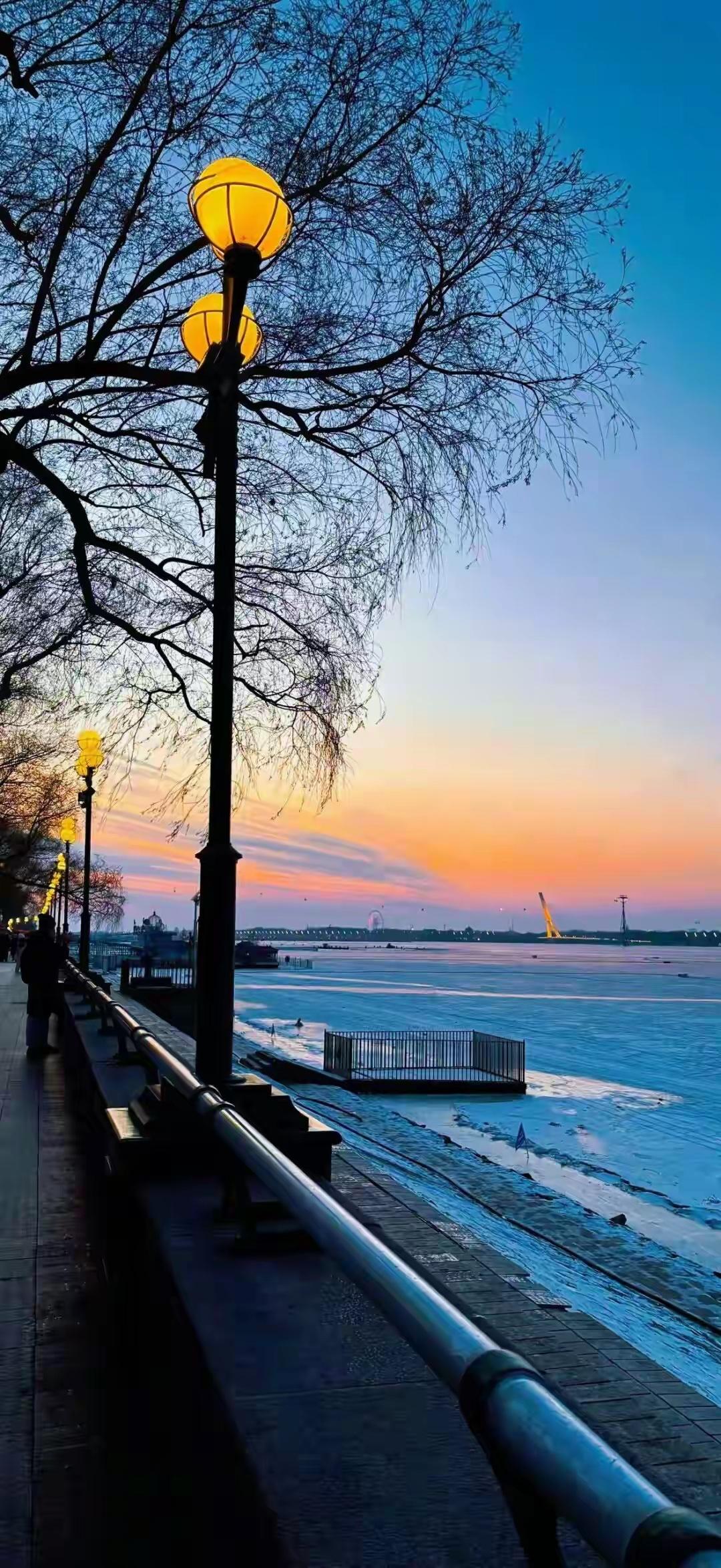 在苍云国的江湖中，寒月剑派与血煞教是两大对立的势力。寒月剑派以剑术精湛、行侠仗义