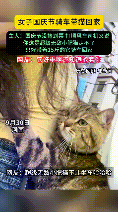 国庆回家！河南女子抢不到票、顺风车司机嫌猫太肥，竟带15斤‘巨猫’骑车回家