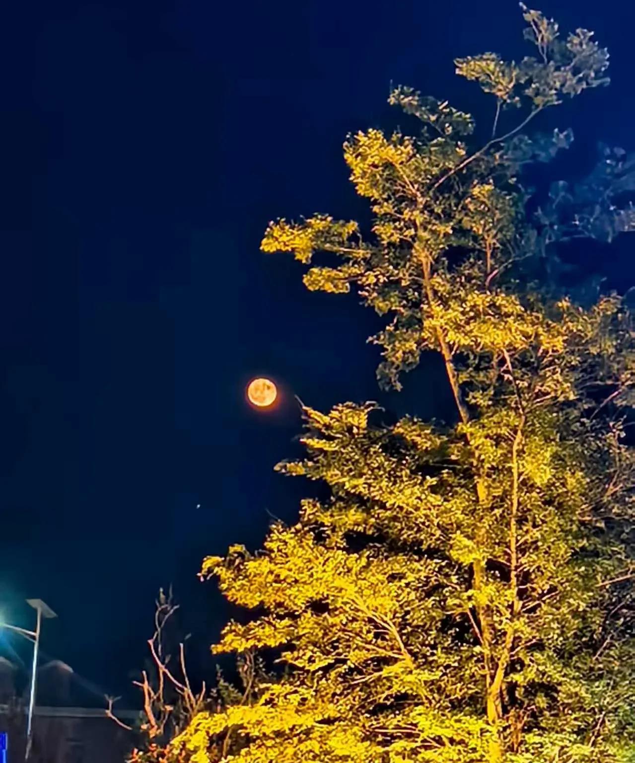 我尽力了，至于朋友听不听，我左右不了。前几天，一个多日不见的好朋友，跟我约饭，