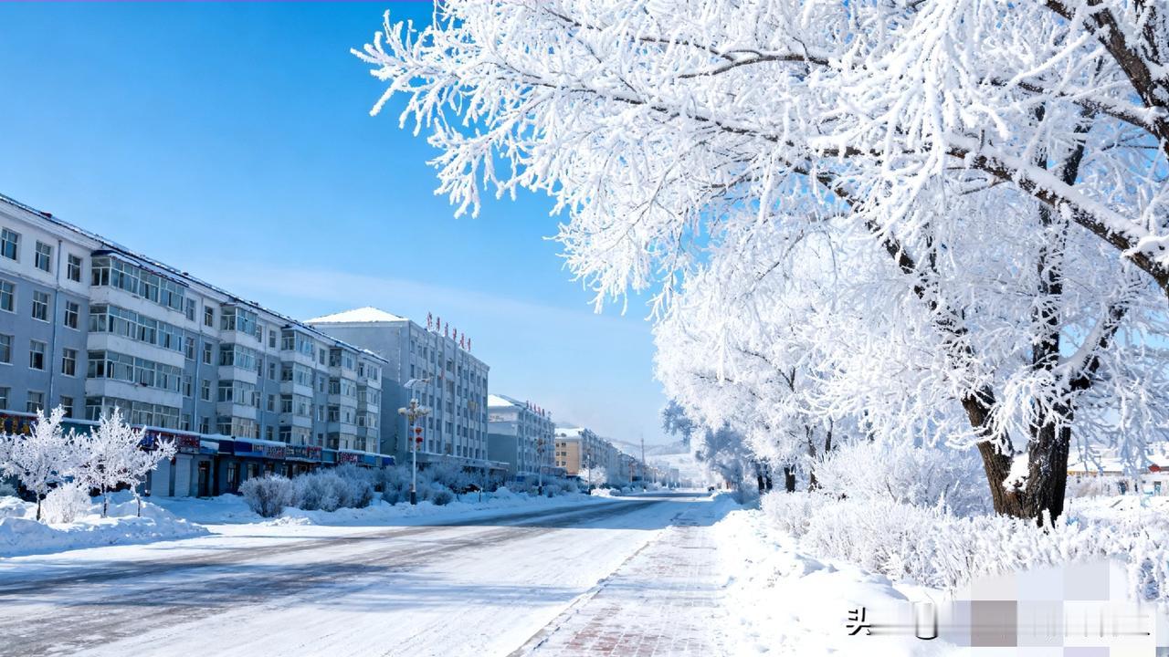 当初选择鹤岗的那批年轻人又回到了他原来的城市，什么原因来的也是什么原因走的，当初