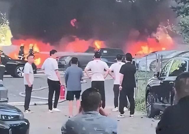 烧扬絮造成20辆新能源车起火5月30日，辽宁大连甘井子区一处停车场起火的视