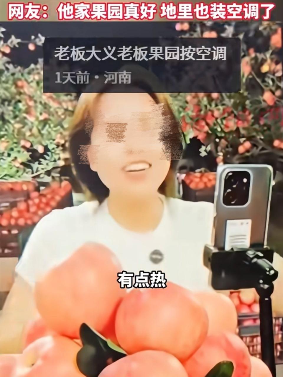 露馅了！2026年5月25日，一场果园当着网友的面直播翻车了。 当时，主播正