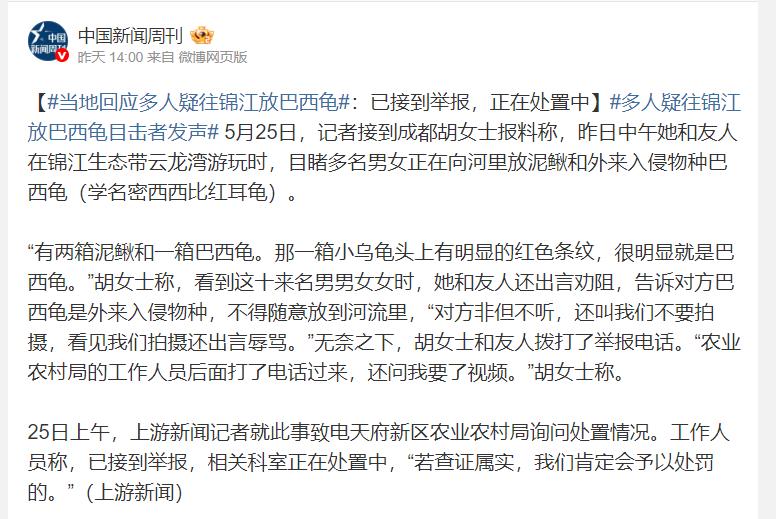 5月25日报道，在成都云龙湾，胡女士目睹十来个人正将红条纹明显的巴西龟成箱倒入锦