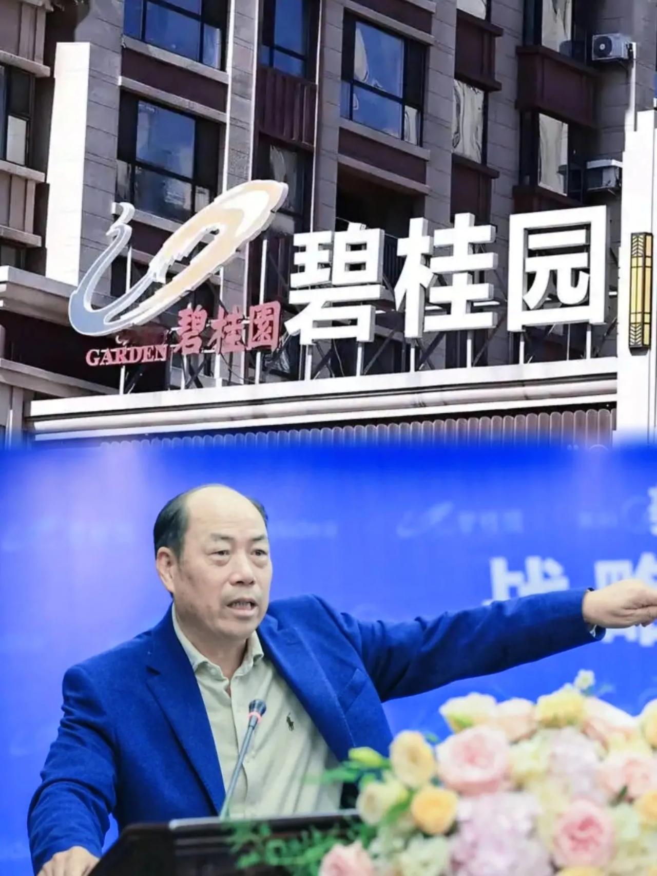 杨国强这回是真能把心放肚子里了，碧桂园这命，硬得让人发指。