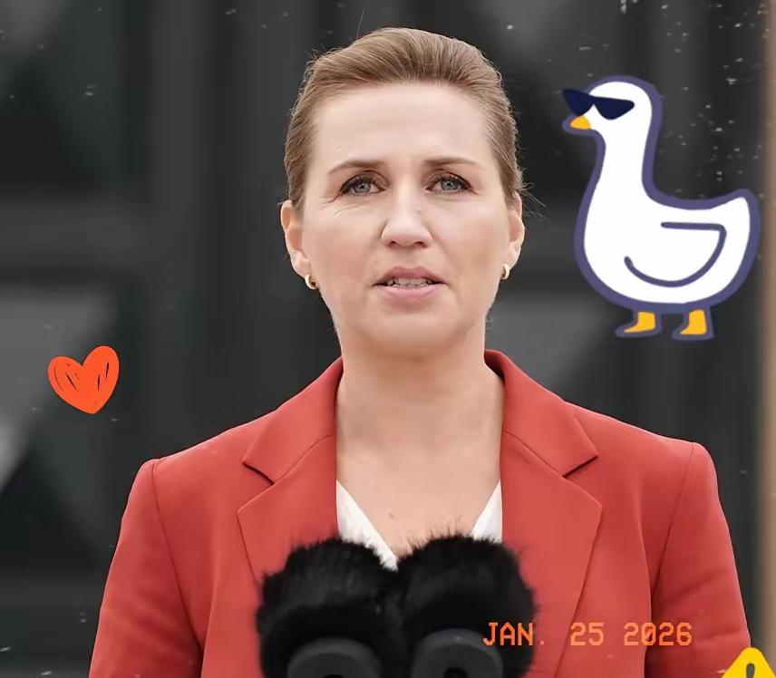 丹麦这位首相，戏演得真足。丹麦首相竟指责东方大国在联合国占座不干事，这话说出