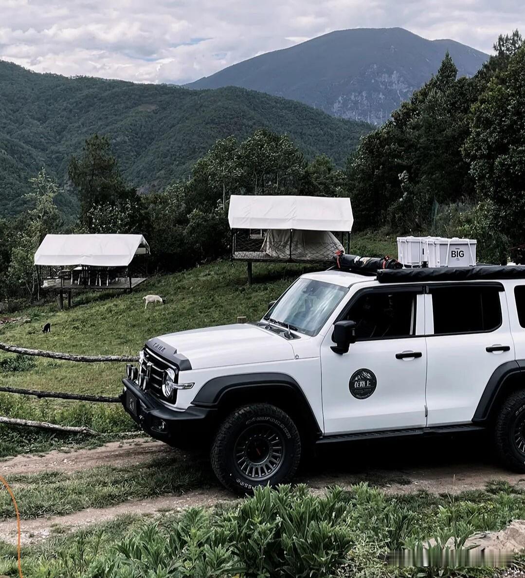 是谦虚，还是真相就是如此？魏建军说过，长城汽车跟日本车比绝对是有差距的，大