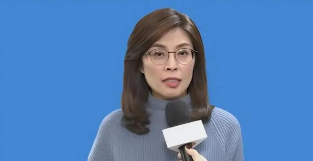 "一国两区"，说穿了就是换了包装的"永远别统一"。郑丽文把话说得很清楚：反对台独