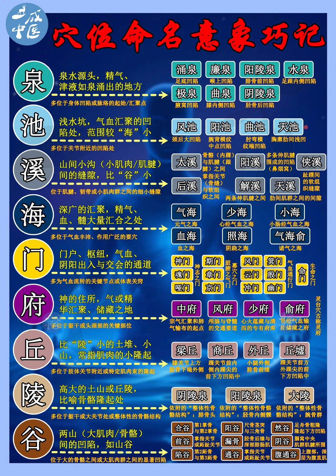 穴位的秘密㊙️