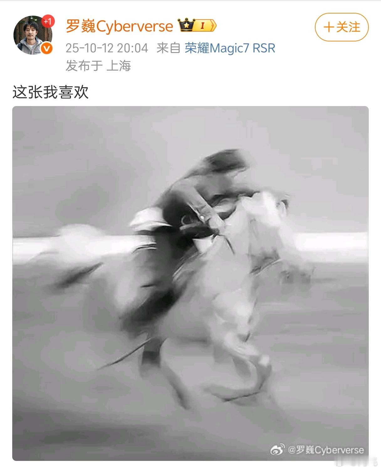 知名抽象派艺术家。​​​