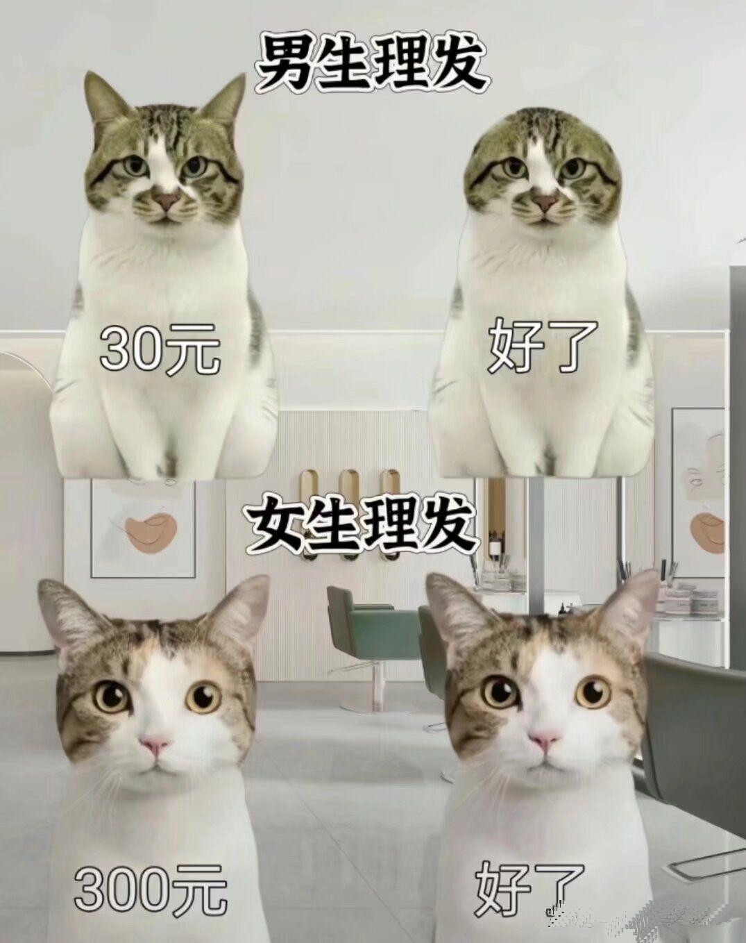 这应该足够的真实了吧！