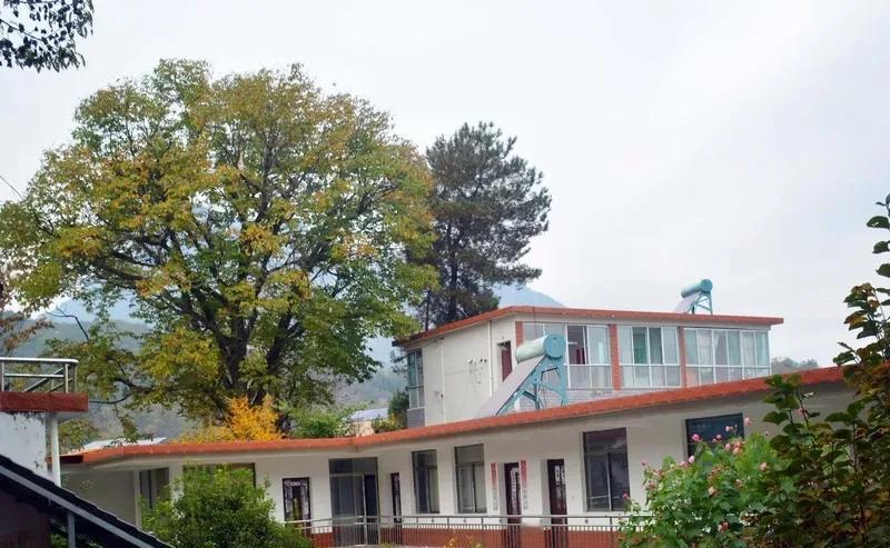 带孙不是义务，是情分。饭是天天做，尿布是日日换，孙子叫奶奶的那声，比啥都值。