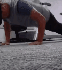 汪星人：我准备好了。