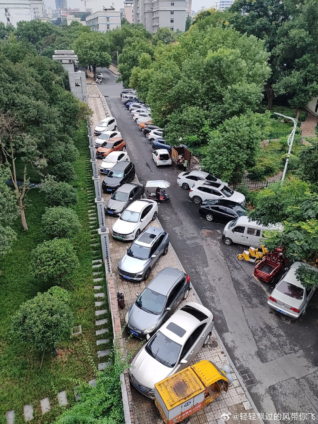 没有一台是临时停靠，全部是僵尸车！#僵尸车#​