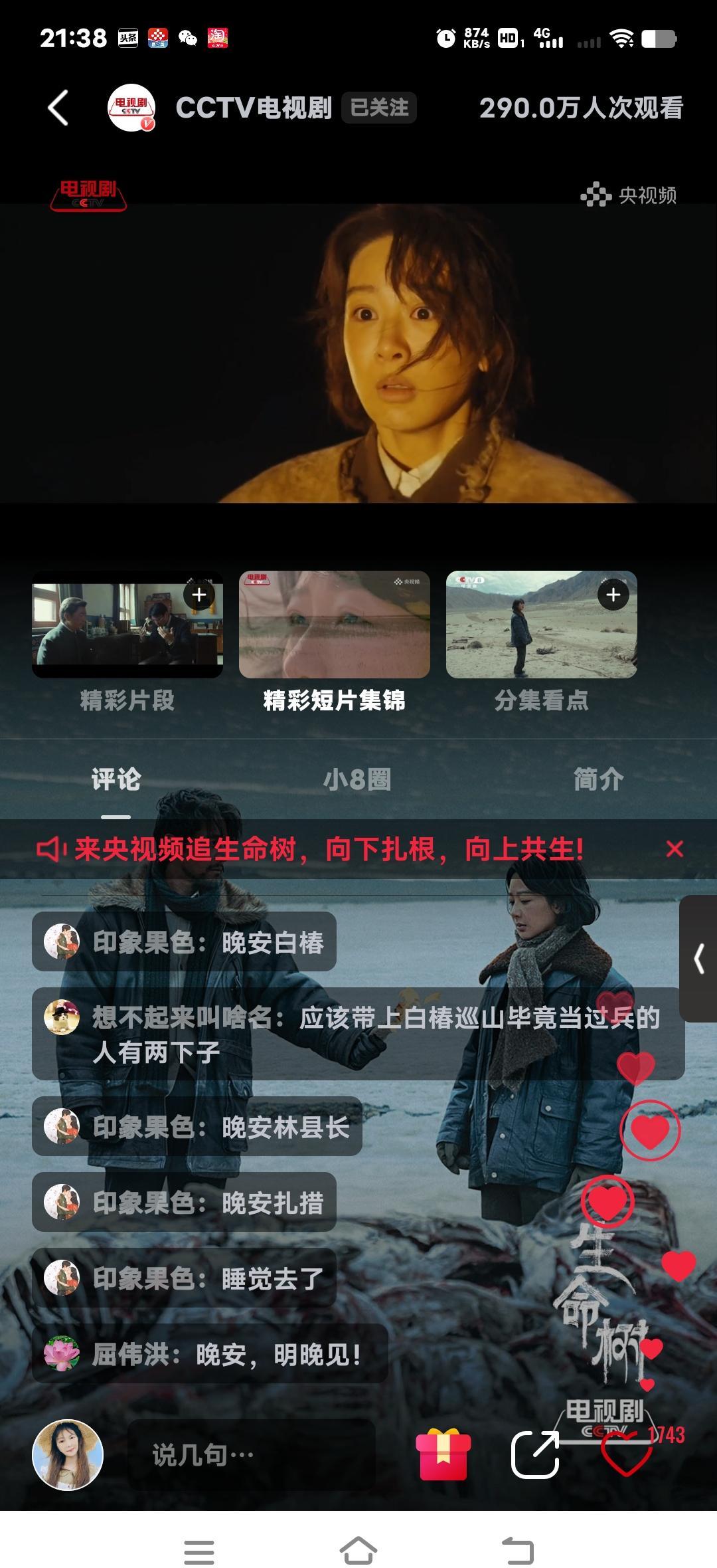 央八这次可真尴尬了！网播8500万的《生命树》收视2900，另一部剧却只有24