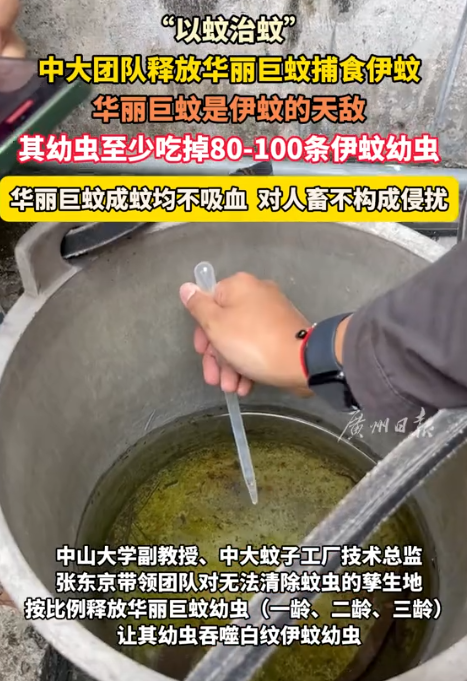 解释不清了！广东，为了应对基孔肯雅热，中山大学的副教授带着学生团队，跑到佛山，往