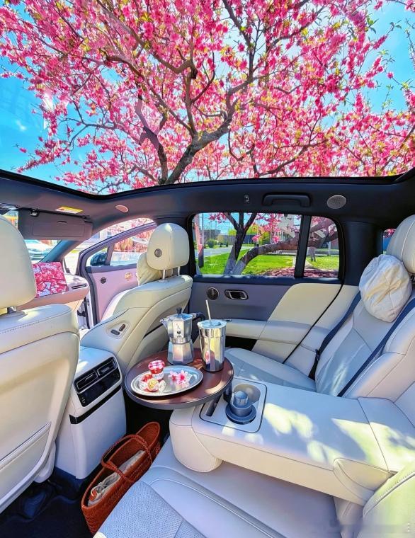 这就是全景天窗最高级的用法了吧，透视看樱花！