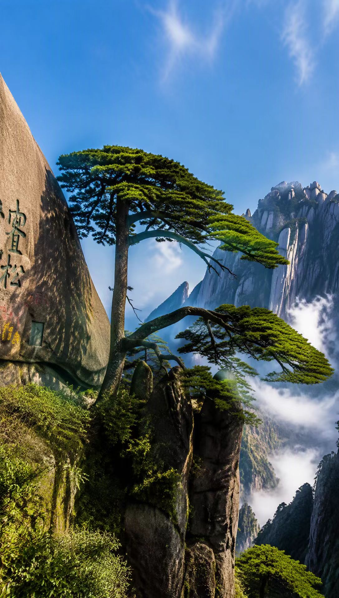 婆媳之间的真情：不是天生一家人，却能彼此暖一辈子一提到婆媳关系，很多人第一反应就是“矛盾”“委屈”“