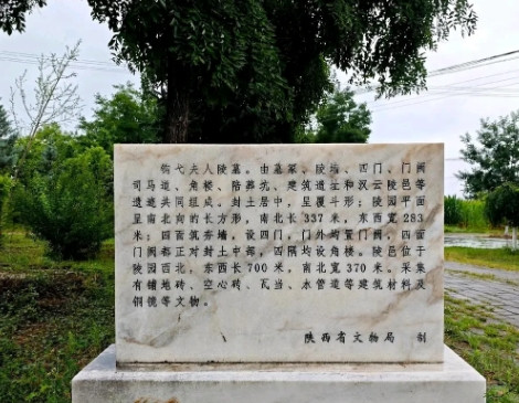 央视热播的《护宝寻踪》是一部很接地气的片子，片中我们看到的是文保永远跟在盗墓贼后