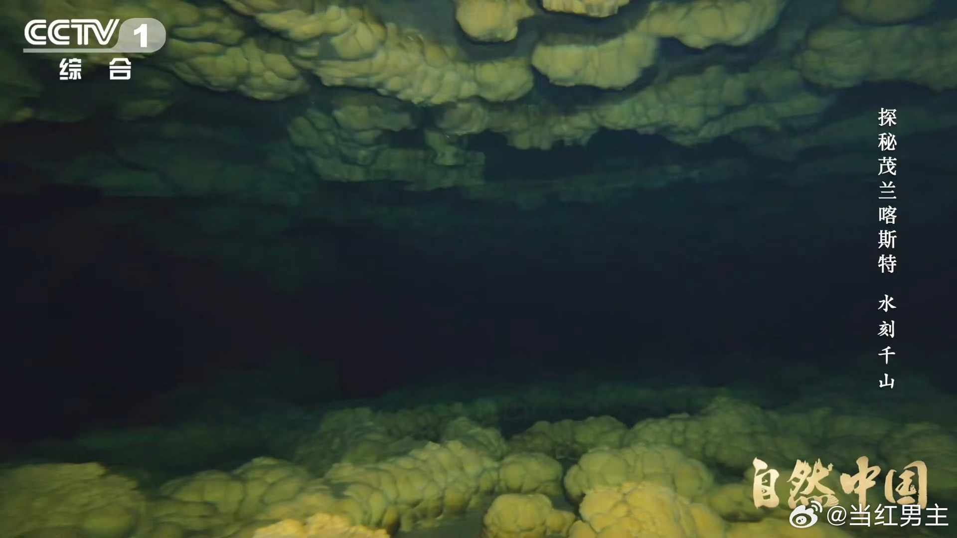 原来贵州曾是大海从海洋到陆地，贵州经历了怎样的沧海桑田？山顶的珊瑚化石给出了答