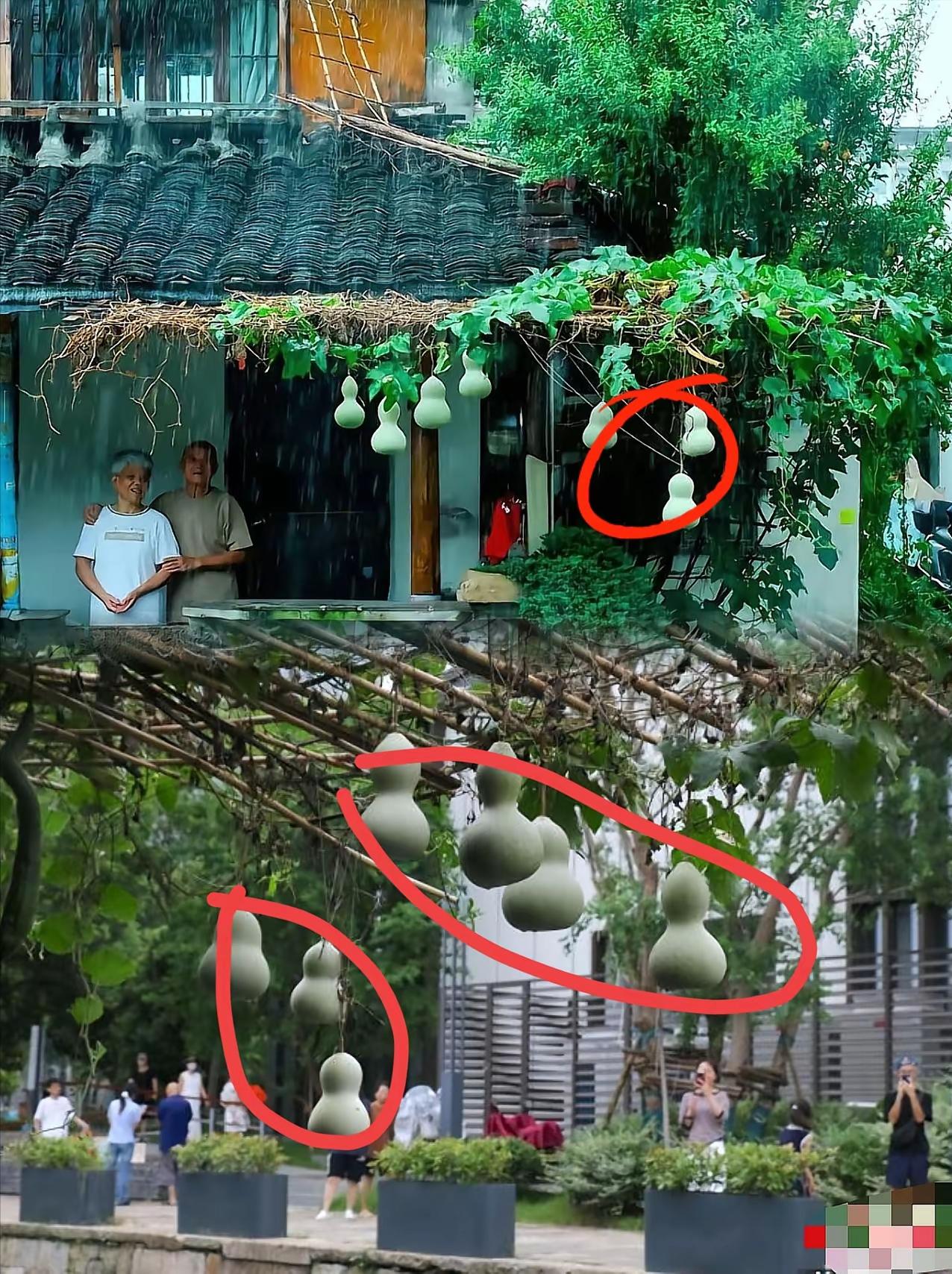 七个葫芦，一剪一挂，绍兴又多了一轮现成的宣传。这传播效果，确实容易让人想到四个字