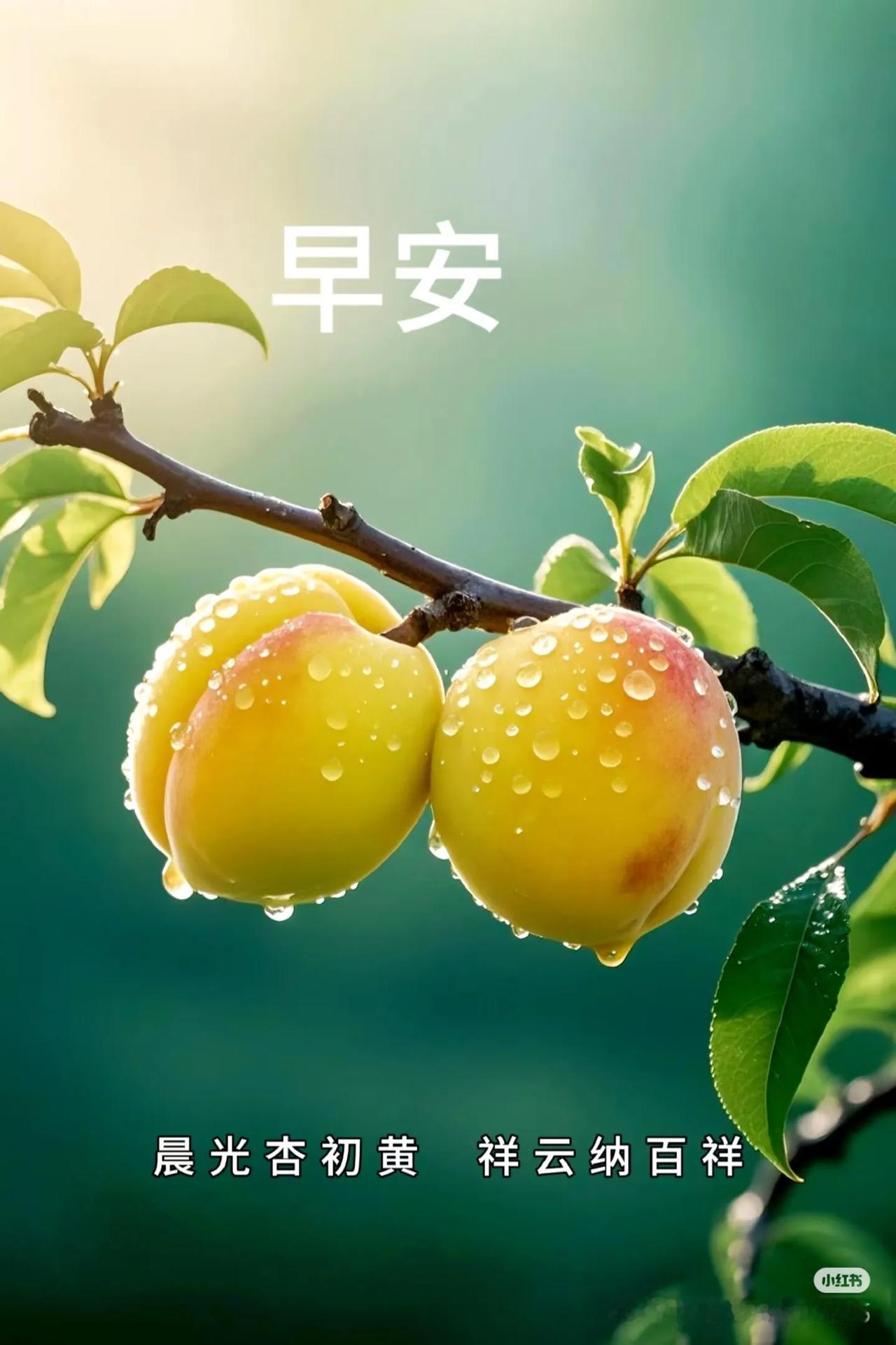 每天一定要让自己做到1、与你无关的事，不要去问、不要去管。2、过去