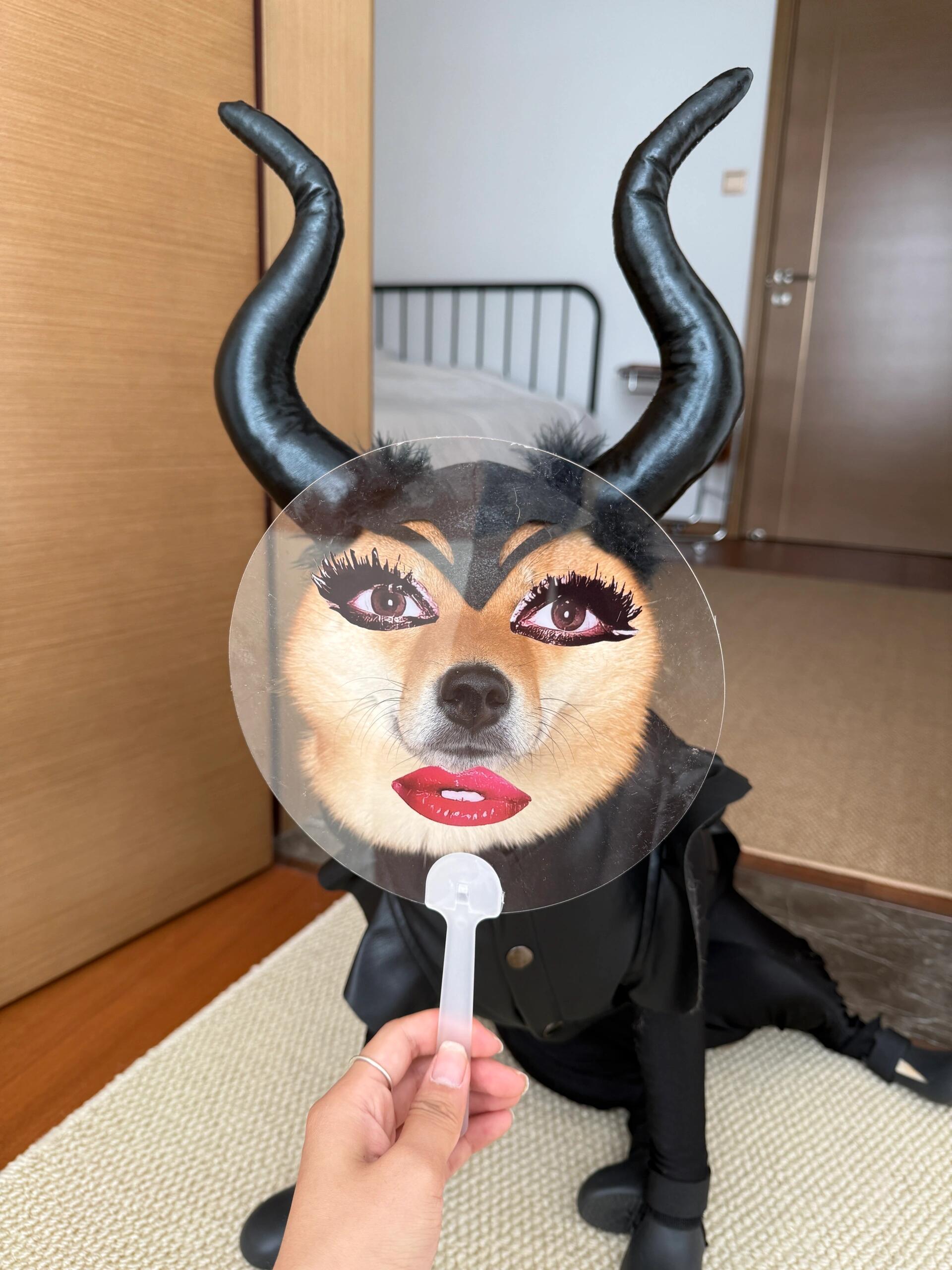 今天的ootd：ladygogo​​​