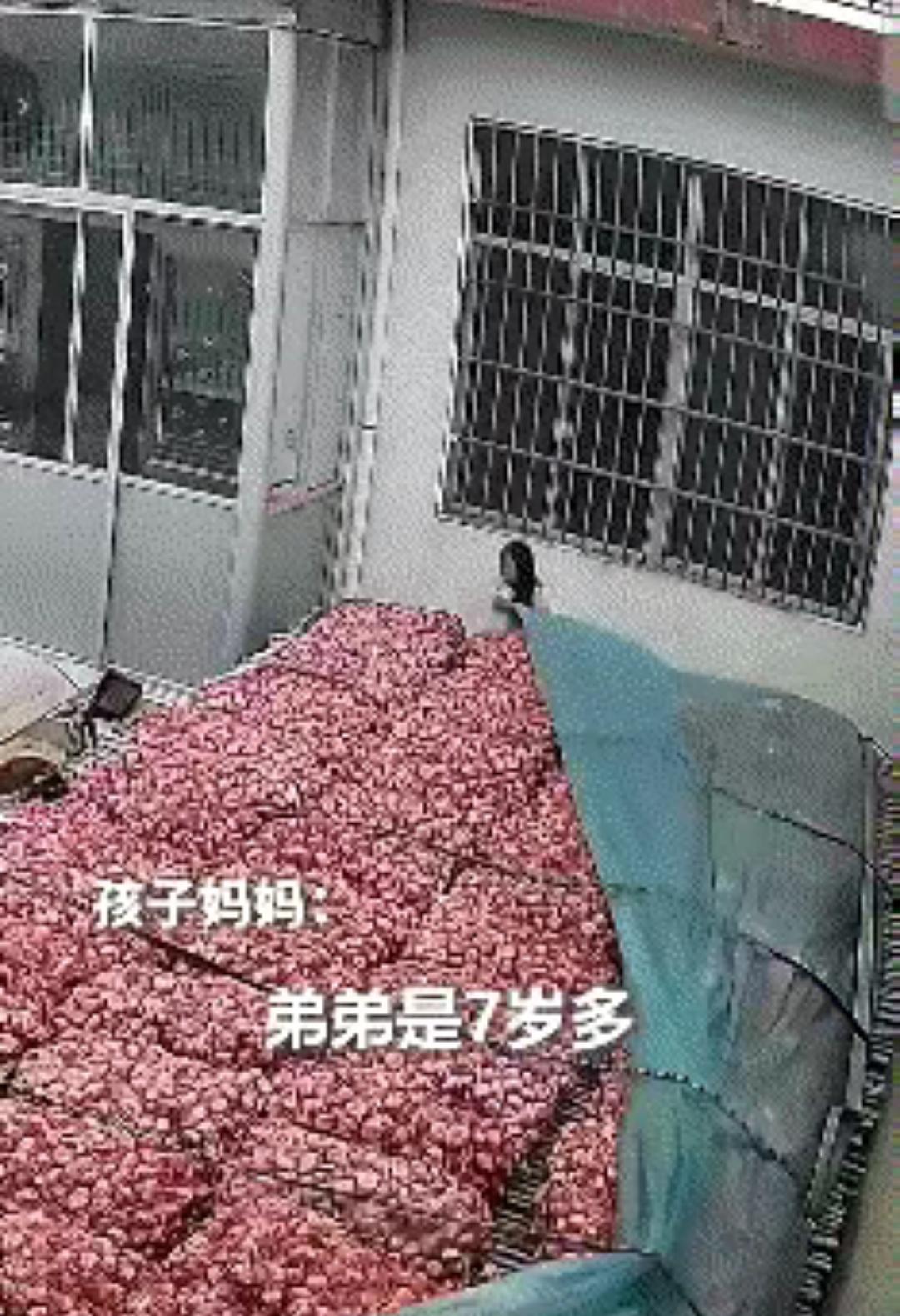 5月24日，江苏徐州邳州市的天空，突然就阴沉下来，豆大的雨点眼看着就要砸下来。