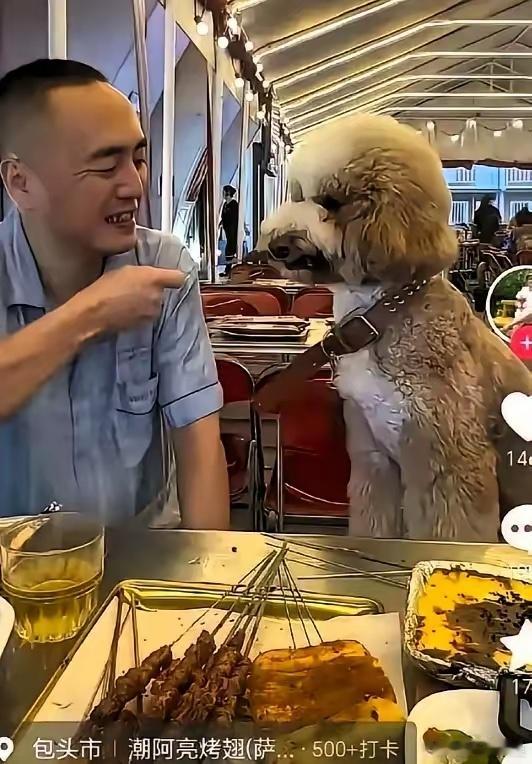 见过作死的，没见过这么作死的！这老登现在全国出名了，不是啥光彩事，是臭名远扬——
