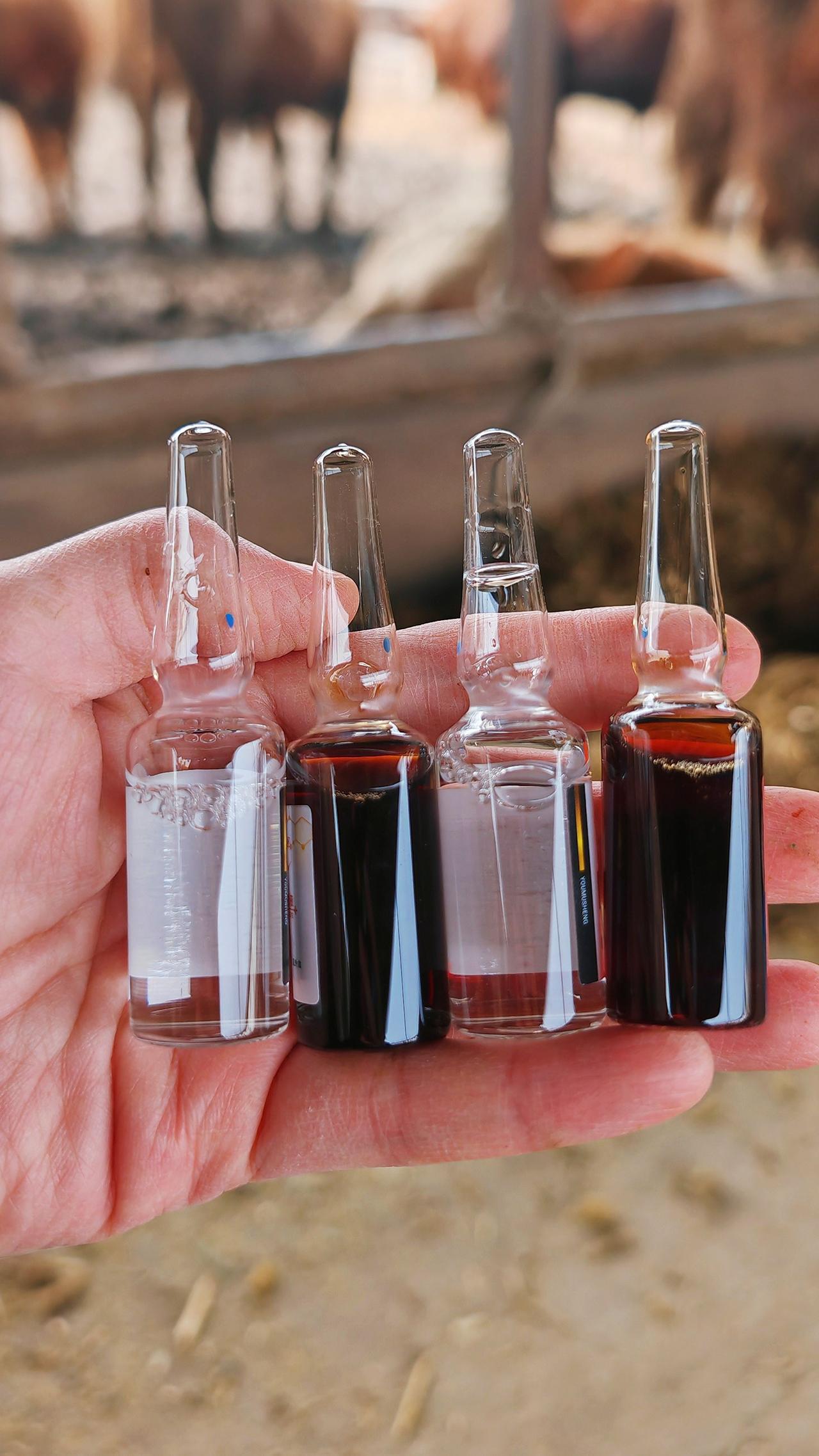 养羊人养殖人加油农村养羊