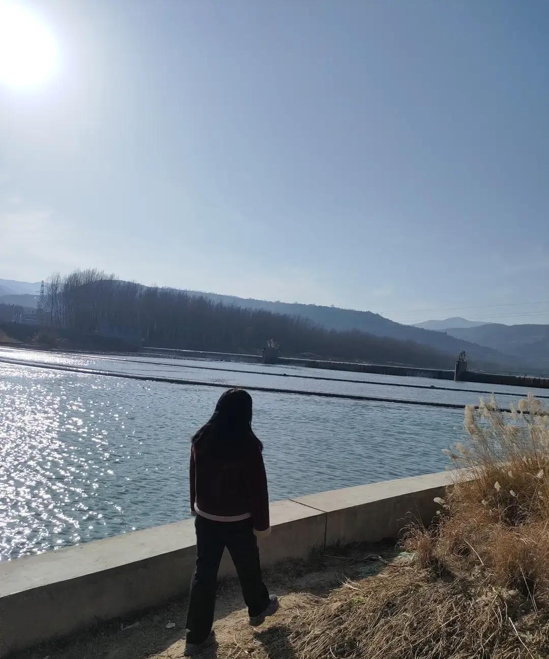 刷到个帖子说属虎的人一辈子窝囊、总被欺负，评论区一堆人附和。我属虎，看完心里咯