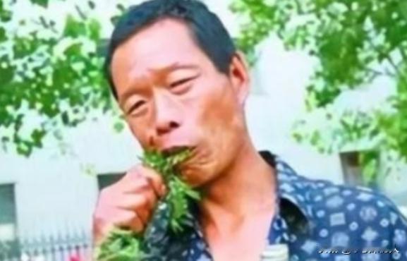 他34年吃了40吨草，闻到肉味就想吐，每天就靠吃草充饥，身体非常健康，后来去医院