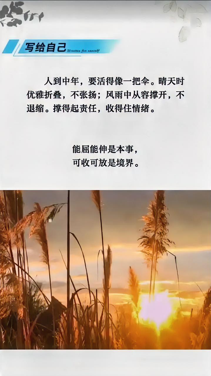 终于知道为什么年龄越大，越喜欢喝茶饮酒了。因为喝茶是一个人的狂欢，喝酒是一