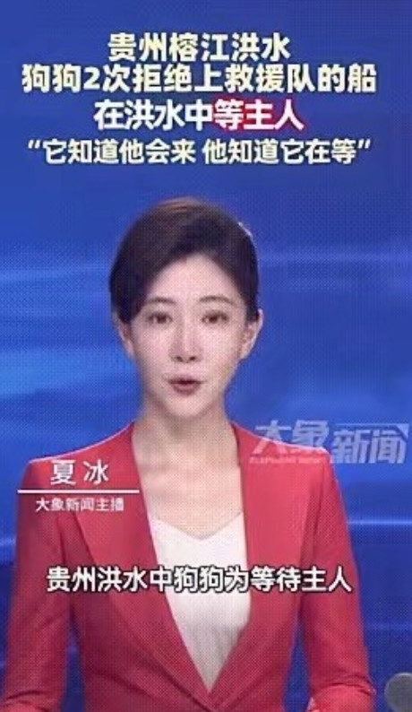 “还吃得下狗肉吗？”在贵州榕江洪水期间，发现一只小狗在水中不离不弃，坚守等待