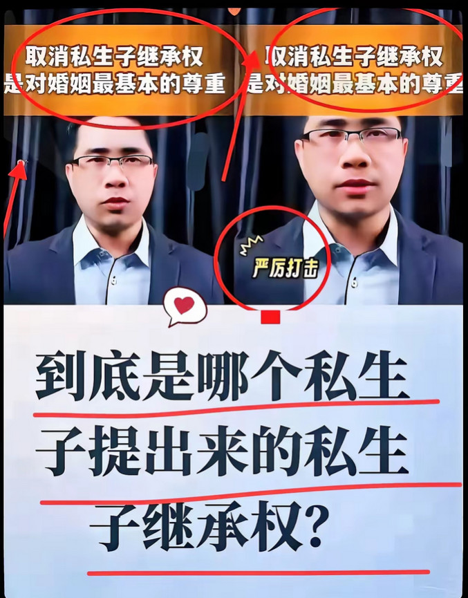 不知道是谁当初规定私生子也有继承权的法律！现在我都觉得很荒唐，终于有人出来说这个