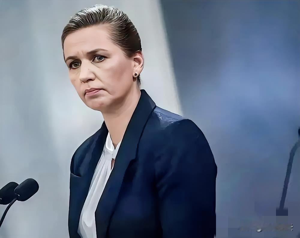 丹麦援乌排欧洲第四，转头被美国盯上格陵兰？一直以来，丹麦都是北约中反俄最积极