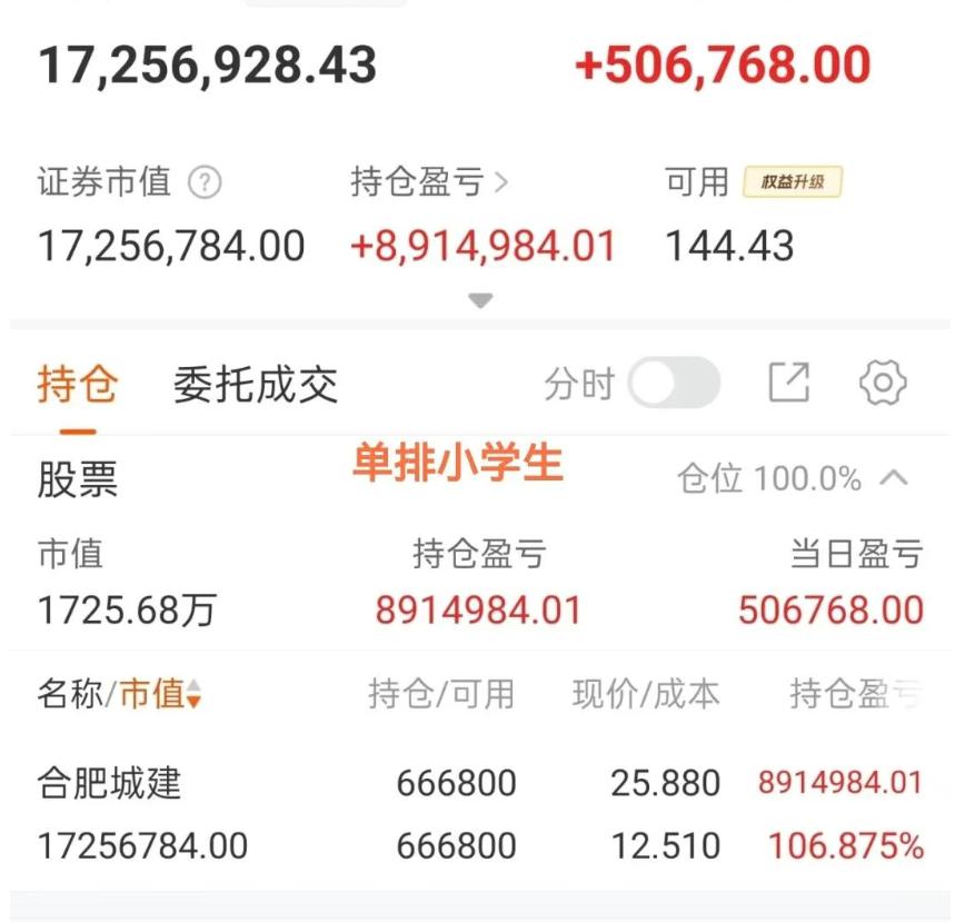 小学生合肥盈利将近900万，居然还不卖，严重怀疑，本人是不是不看持仓，这两天波动