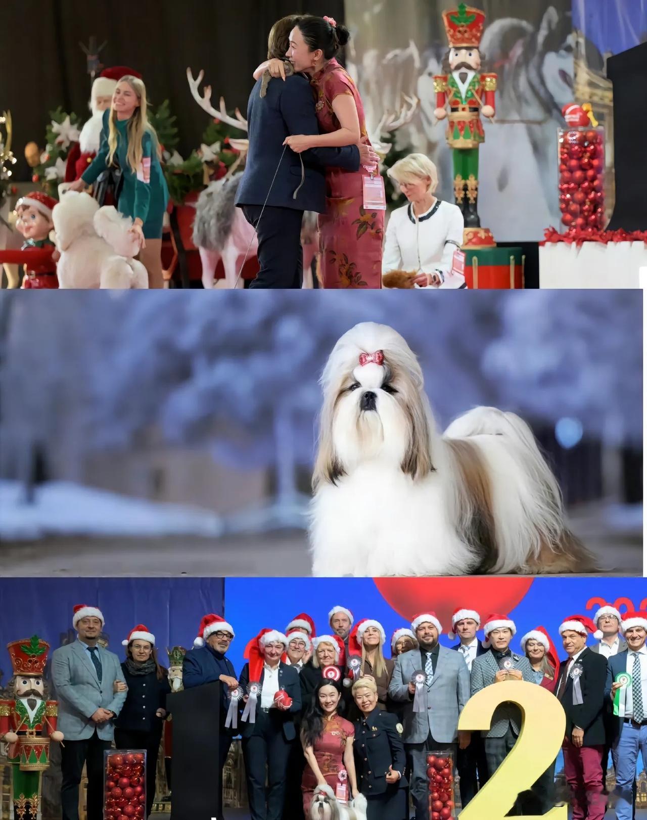 我一个养狗的朋友说真不怪霍思燕能拿奖她这狗品种是西施犬，养这种狗的人都知道，