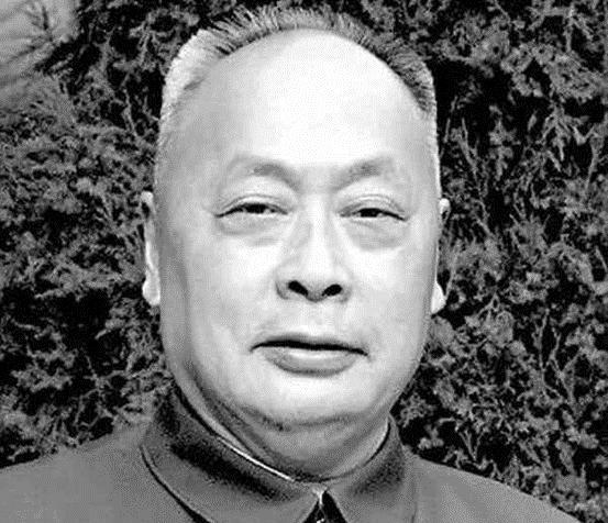 四大野战军司令员，在解放后，都从事什么工作岗位“1950年春天，刘帅来了！”三