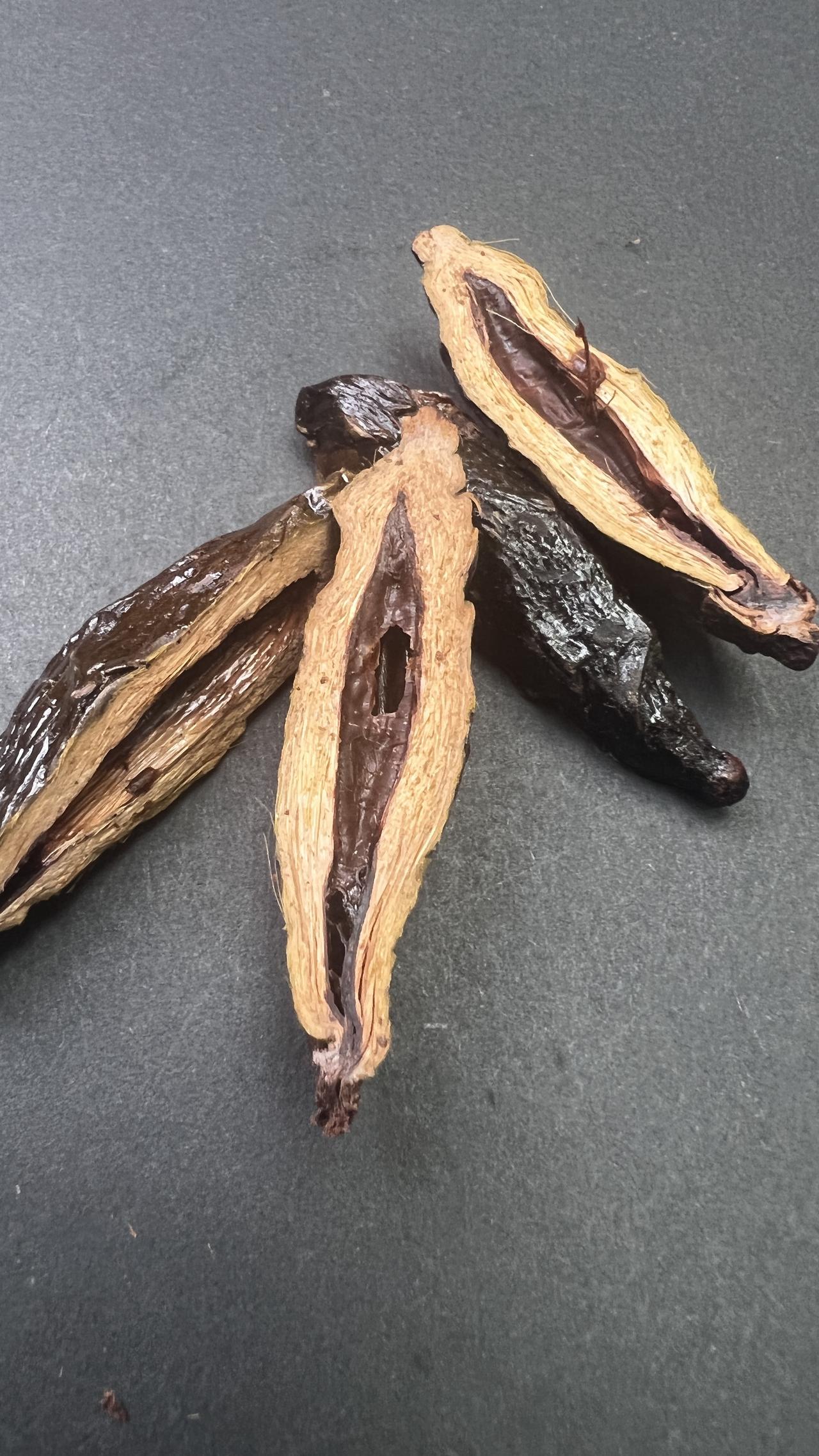 我一个亲戚昨晚去世了，才49岁。如果没有这个坏习惯，日子过得还是非常舒服的，可惜