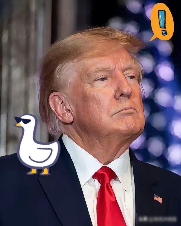 外交亮剑，中方把话挑明，美国这次是真疼了。自十月起，中国开始执行新的稀土出口