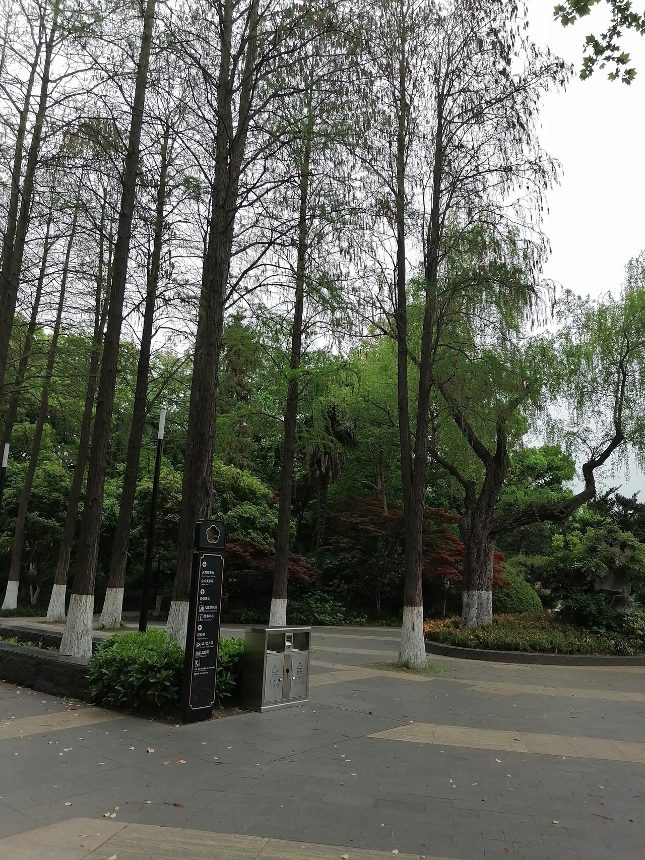 一个熟人的猝死，让我看透的不只是世态炎凉，好多疑问，至今在我心里仍是未解之谜。