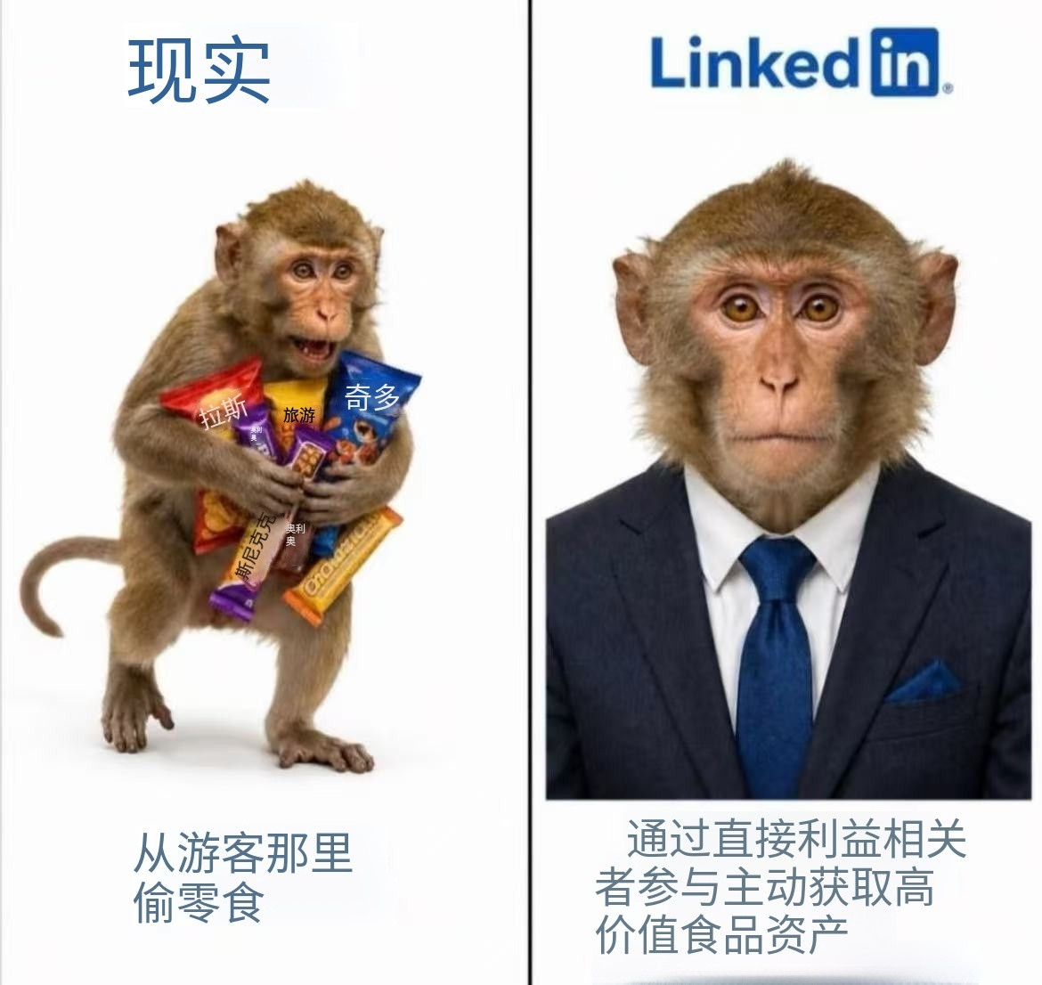 我写简历