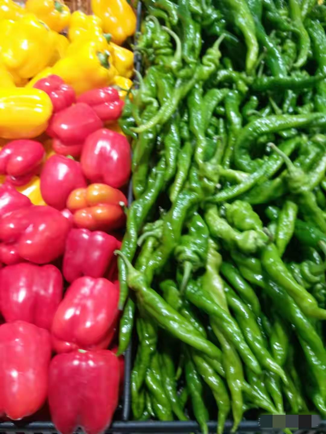 今天专门跑去菜市场询价，不问不知道，一问，果然涨价了。云南的菜椒18，番茄13