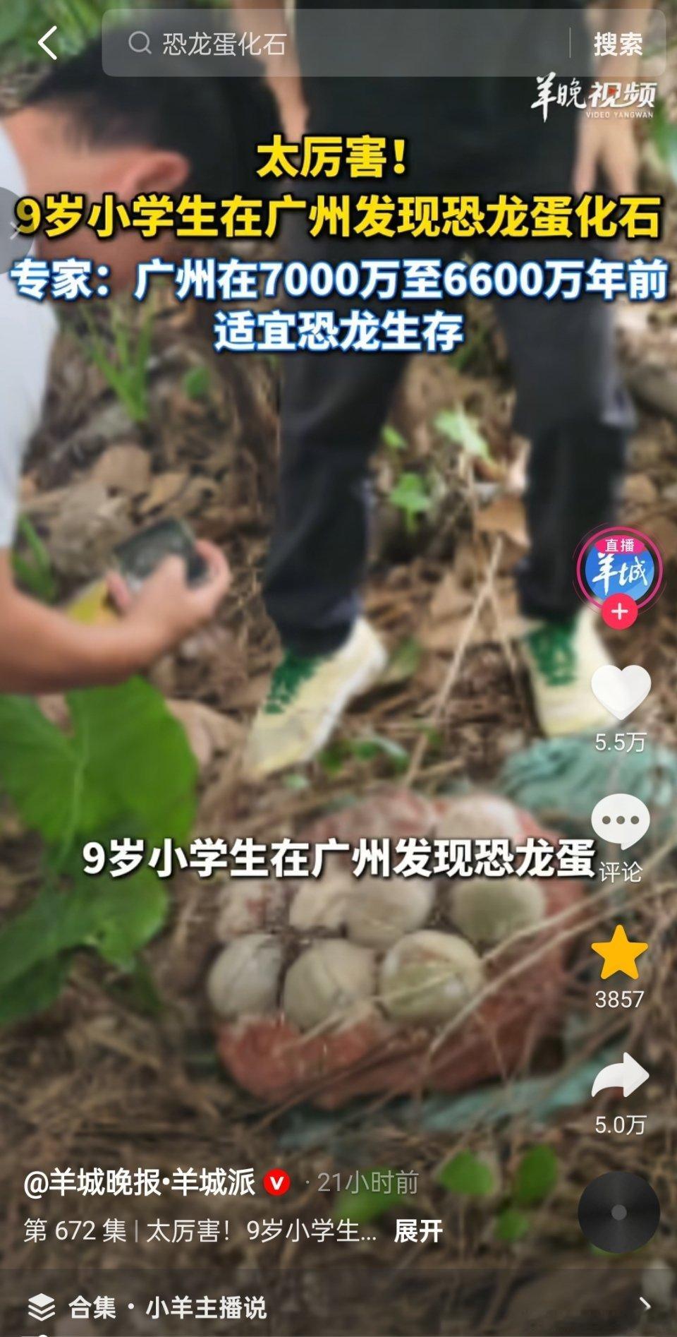 9岁小学生发现恐龙蛋🥚