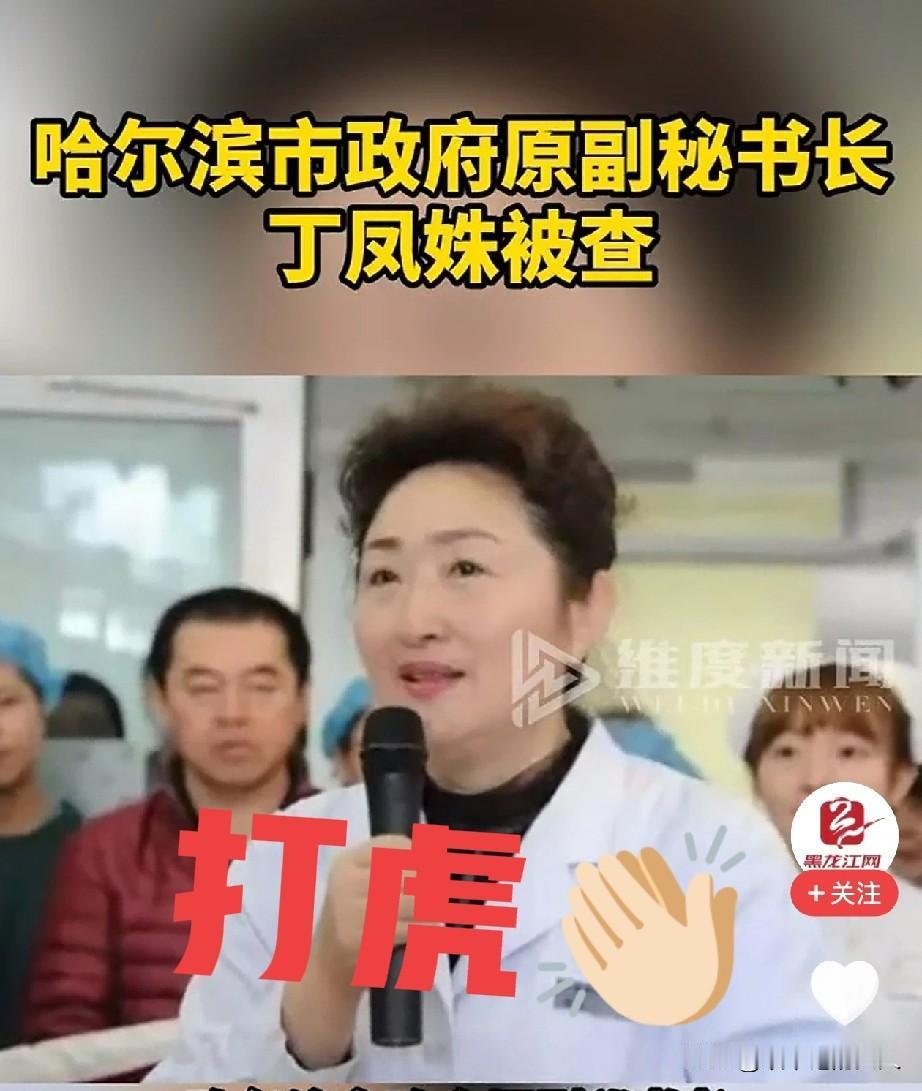 就在刚刚，看到刚退休没几年的64岁的丁凤姝被查！医生出身的她最后职务是副秘书长
