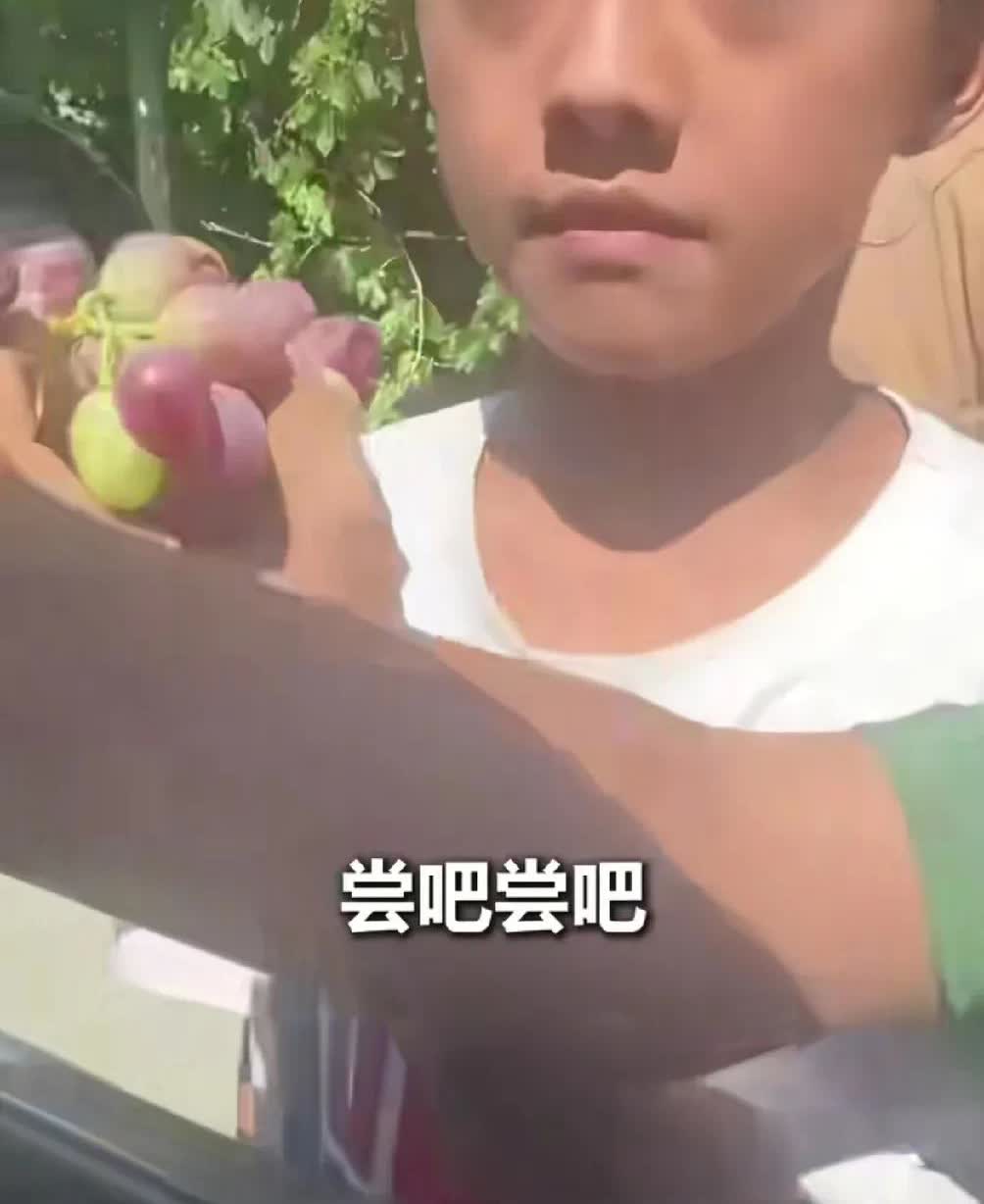 新疆文旅这次做梦都要笑醒了，自己辛辛苦苦的宣传不如小孩哥的几句话！暑
