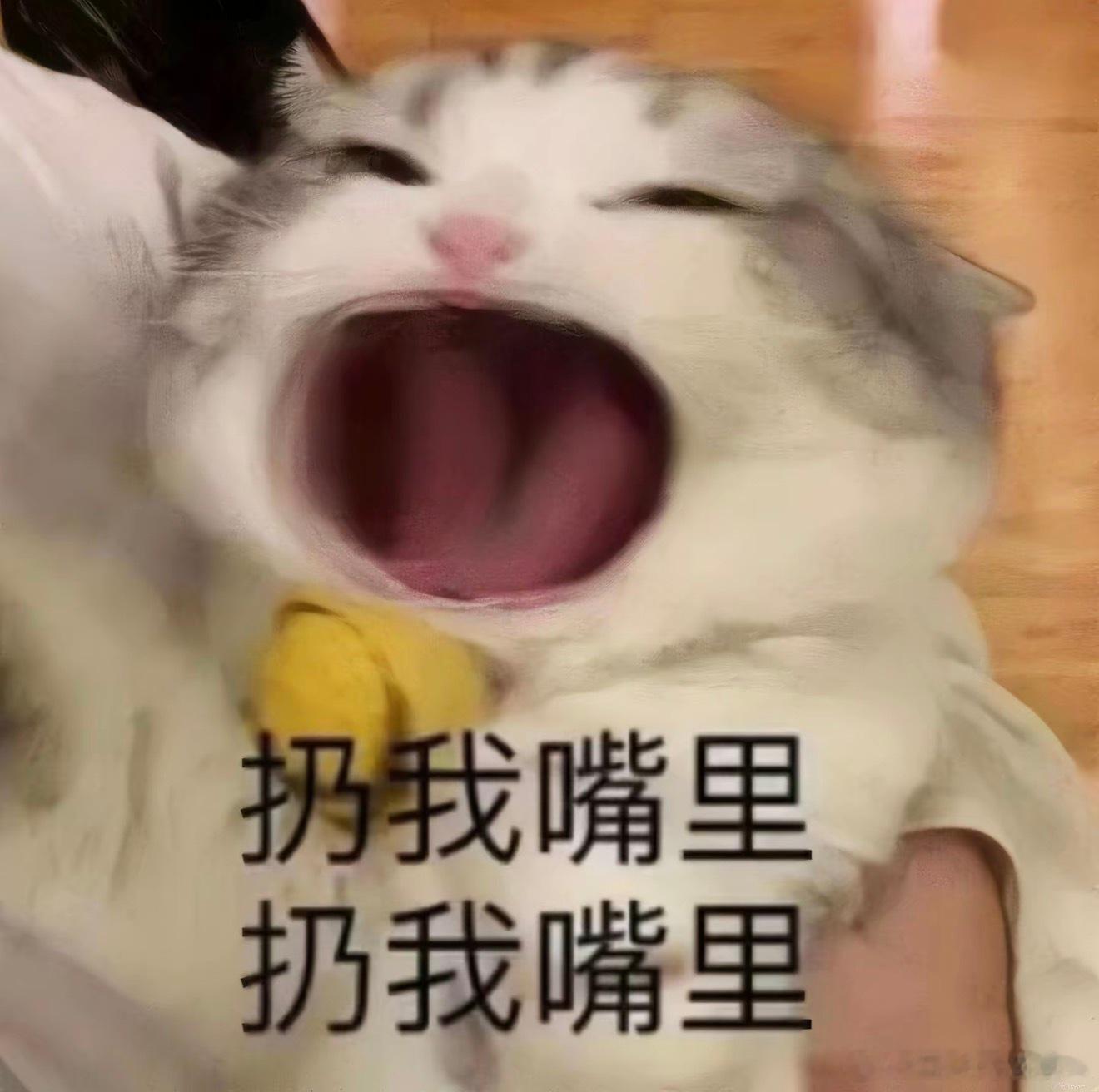 北京中餐店有游戏角色出没北京烤鸭还能这么吃本来安安稳稳过来吃烤鸭，一抬头撞见c